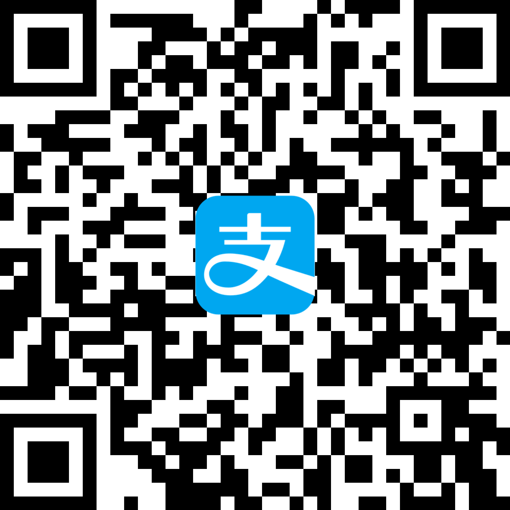 支付宝缴费